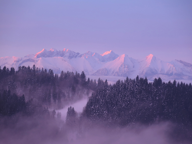 Widok na Tatry z Pienin