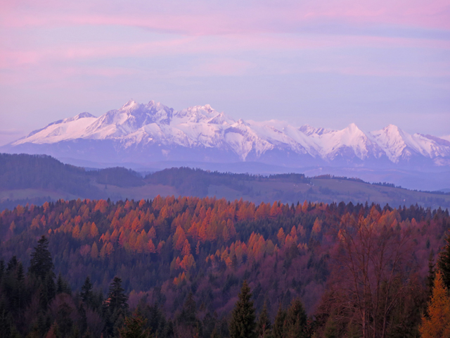 Widok na Tatry z Polany Litawcowej