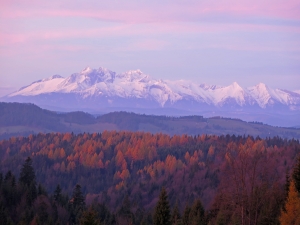 Beskid Sądecki