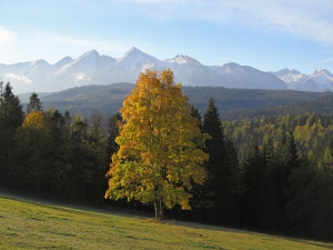 Przełęcz nad Łapszanką