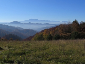 Widok ze szlaku na Koziarz