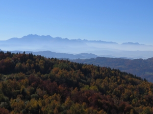 Widok z Koziarza