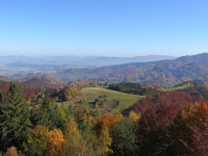 Widok z Koziarza