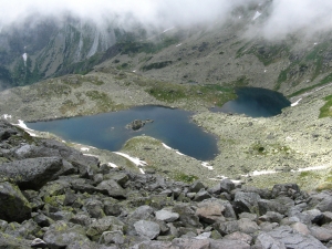Żabie Stawy