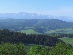 Widok z Pienin Spiskich na Tatry