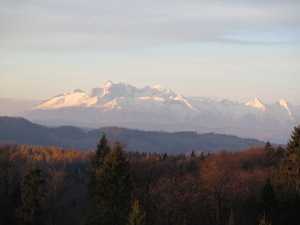 Widok na Tatry z Polany Litawcowej