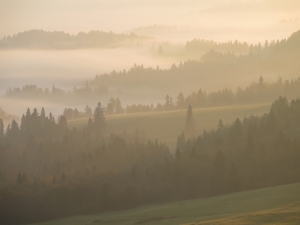 Pieniny o poranku