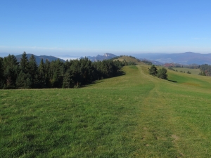 Widok na Wysoki Wierch i Trzy Korony