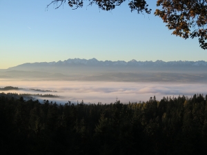 Widok na Tatry spod Bacówki na Łapsowej Polanie