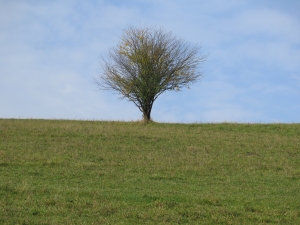 Okolice Łapsz Niżnych