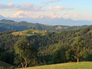 Widok na kościół św. Tomasza