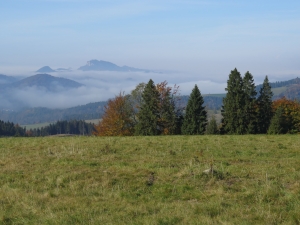 Widok na Pieniny z okolic Pokrywiska