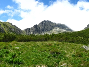 Dolina Furkotna