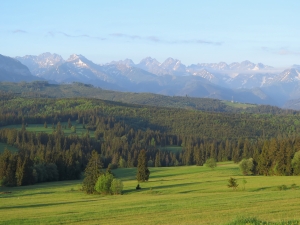 Okolice Rzepisk