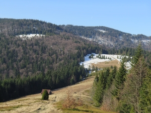 Polana Podskały wiosną