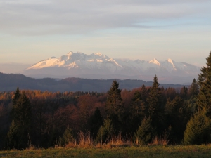 Na Polanie Litawcowej