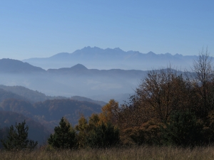 Widok na Tatry ze szlaku na Koziarz z Krościenka