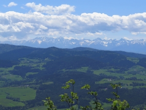 Widok z Perci Borkowskiego