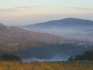 Widok w kierunku Mszany Dolnej