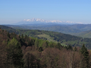 Widok spod Bacówki nad Wierchomlą