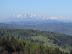 Widok spod Bacówki nad Wierchomlą
